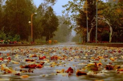 Meteoroloji uyardı: O bölgelerde yer yer kuvvetli olacak! Bugün hava nasıl, perşembe günü hava nasıl olacak? 2
